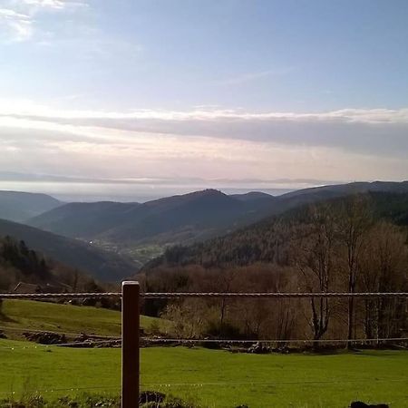 Linthal Un Coin De Montagne 아파트 외부 사진