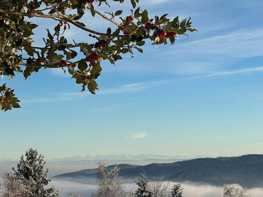 Linthal Un Coin De Montagne 아파트 외부 사진