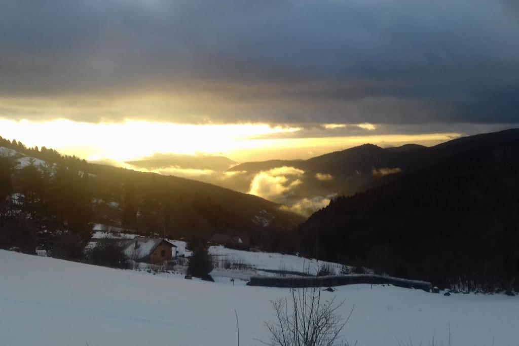 Linthal Un Coin De Montagne 아파트 외부 사진